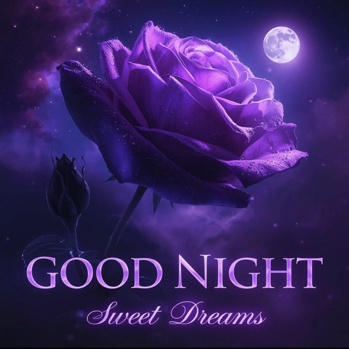 A purple rose against a starry cosmic background with a full moon, accompanied by the text 'GOOD NIGHT Sweet Dreams'.