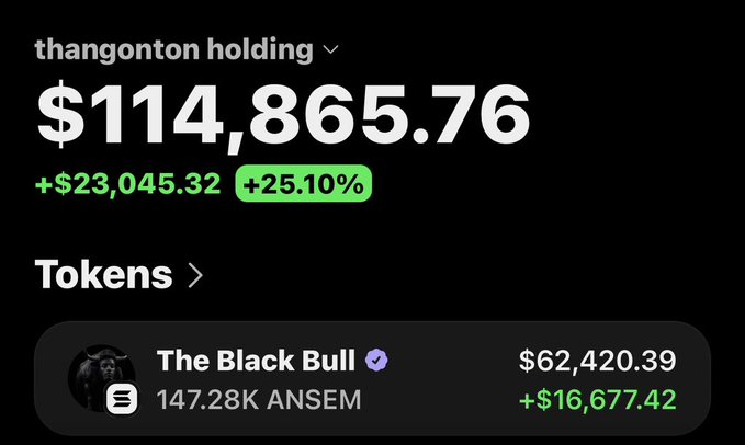 A screenshot of a crypto portfolio titled "thangonton holding" shows a total balance of $114,865.76, up $23,045.32 (+25.10%), with the top token listed being "The Black Bull" (ANSEM) valued at $62,420.39 with a gain of $16,677.42. The image relates to the post's question about whether a small cryptocurrency (solana:9cRCn9rGT8V2imeM2BaKs13yhMEais3ruM3rPvTGpump) could reach a $1B market cap, with the portfolio's notable gains suggesting optimism about such moonshot tokens.