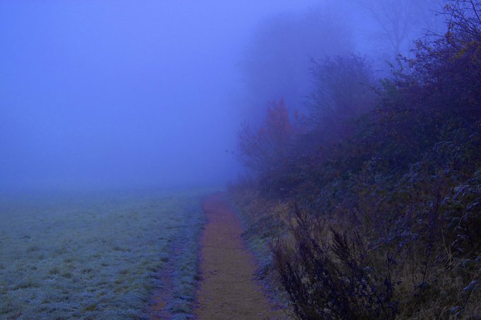 The image shows a foggy trail winding through a field, surrounded by various trees and shrubs. In the distance, there's an orange-brown bush visible near the edge of the field, adding a touch of color to the otherwise dark sky. The perspective of the photo emphasizes the path along with the surrounding elements in nature.