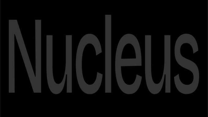 A black screen displaying the word 'Nucleus' in dark gray text.