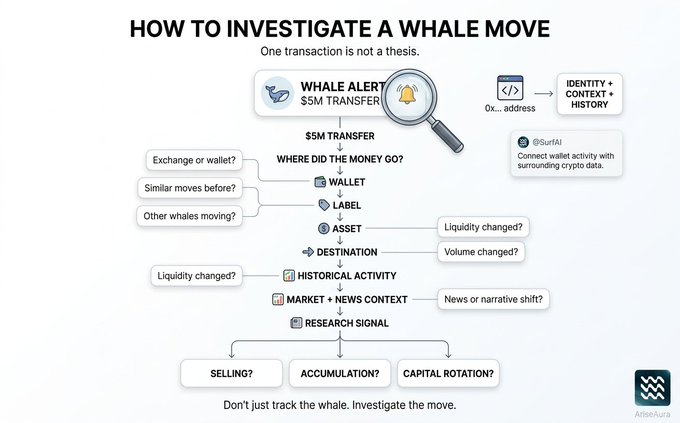 An infographic titled 'HOW TO INVESTIGATE A WHALE MOVE' by @SurfAI on AriiseAura, showing a flowchart process starting from a $5M transfer alert through wallet, label, asset, destination, historical activity, and market context to determine if it's selling, accumulation, or capital rotation.