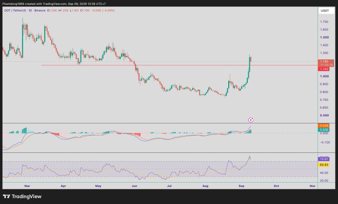 A TradingView chart showing DOT/USDT on Binance with a daily timeframe, displaying price action around $1.142 with both MACD and RSI indicators visible at the bottom, dated September 26, 2026.