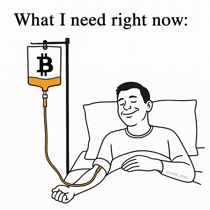 A cartoon illustration captioned 'What I need right now:' showing a smiling man in a hospital bed receiving an IV drip shaped like a Bitcoin bag, signed '@CORN_HODL'.