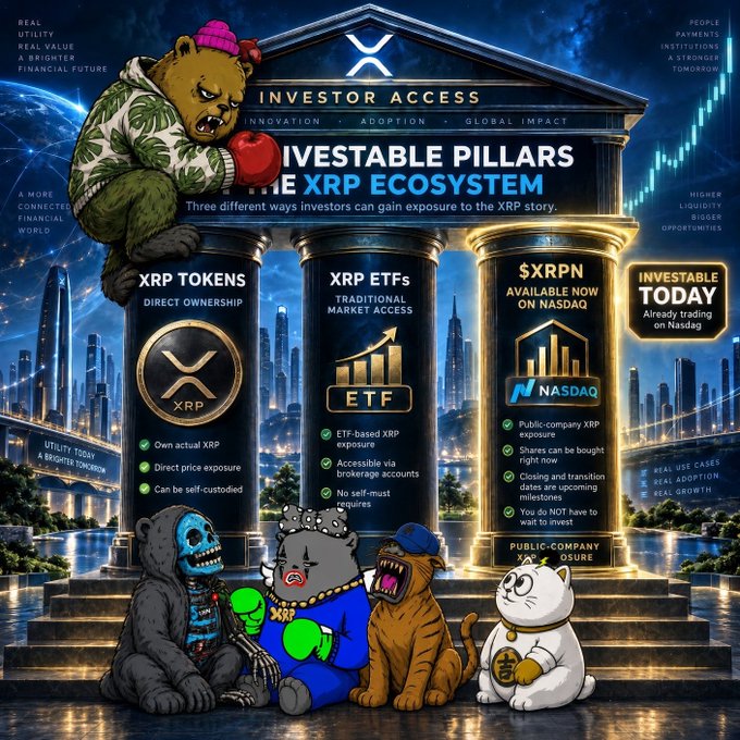 An infographic titled 'INVESTABLE PILLARS THE XRP ECOSYSTEM' detailing three investment methods: XRP Tokens, XRP ETFs, and a public company ($XRPN) on Nasdaq, with cartoon characters including a bear in boxing gloves.