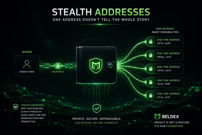 An infographic for Beldex titled 'STEALTH ADDRESSES' illustrates how one payment creates many possibilities through unique, one-time crypto addresses for privacy.