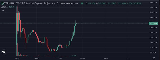 A candlestick chart from dexscreener displays the TERMINAL/HYPE (Market Cap) trading pair on the Hyperliquid X-15 market, showing a market cap of 311.10K with a current value of 312.86K (+0.56%) and 24-hour volume of 436.14. The chart illustrates volatile price action with a sharp initial spike followed by a steep decline and gradual recovery, visually supporting the post's claim about panic selling and potential repricing of the Hype Terminals NFT.