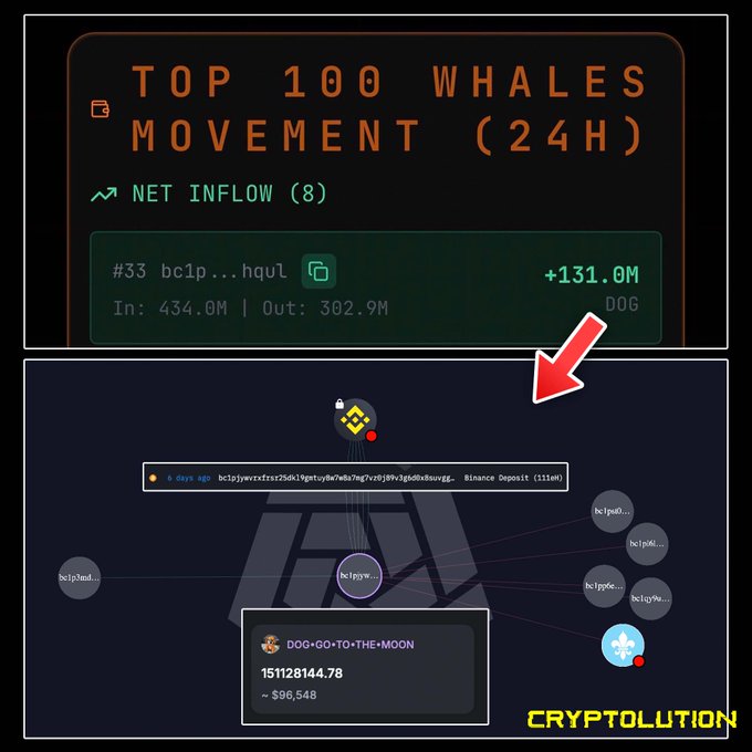 A dashboard titled 'Top 100 Whales Movement (24H)' showing net inflow data, with a Binance Deposit of 131M DOG (~$96,548) from address bc1p...hqul, featuring a network visualization graph and the 'CRYPTOLUTION' logo.