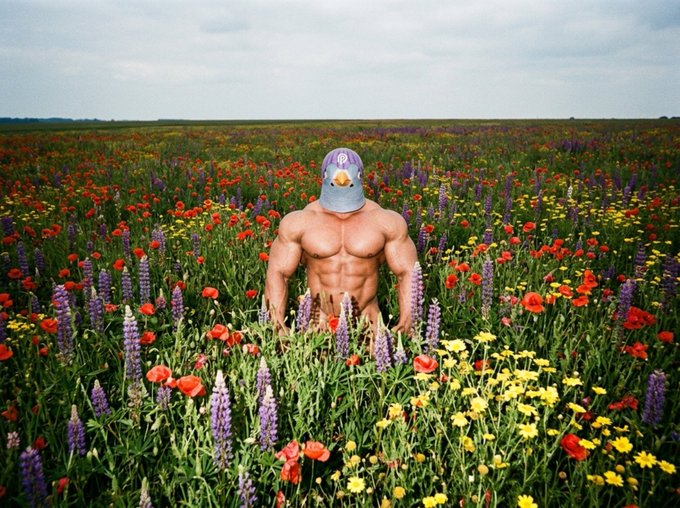A shirtless, muscular man wearing a duck cap stands in a vibrant field of red poppies, purple lupines, and yellow daisies beneath a cloudy sky. The surreal, absurd imagery mirrors the post's chaotic, high-energy crypto hype about PYTH reaching $5 and onchain perps reshaping finance—visually capturing the unhinged optimism of a "good morning" crypto rally call.