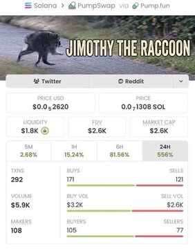 The image shows a DexScreener chart for the Solana meme coin "Jimothy the Raccoon" ($Jimothy), displaying a price of $0.1308, market cap of $2.6K, and 556% 24-hour gains with $5.9K volume. The accompanying post highlights a trader who turned a $385 investment into $73,800 (a 192x return), which aligns with the extreme low market cap shown—just before a potential massive breakout that early buyers could have capitalized on.