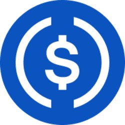 The circular blue and white logo for USDC, a stablecoin cryptocurrency pegged to the US dollar.
