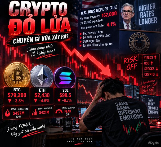 A dramatic Vietnamese-language crypto market graphic titled 'CRYPTO ĐỎ LỬA – CHUYỆN GÌ VỪA XẢY RA?' showing BTC $79,200 (-3.8%), ETH $2,430 (-4.9%), SOL $98.5 (-6.7%), with $497M total liquidations amid U.S. jobs report and 'Higher Rates Longer' Fed hawkishness.