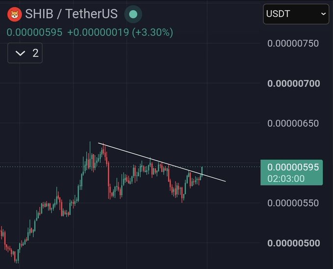 A cryptocurrency trading chart for SHIB/TetherUS (SHIB/USDT) showing a price of 0.00000595 with a +3.30% gain, displaying a descending trendline pattern in red and green candlesticks.