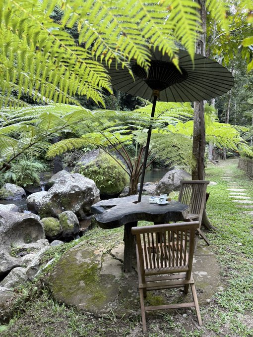 A serene garden scene featuring a stone table with two wooden chairs under a parasol, set among lush ferns and moss-covered rocks beside a stream.
