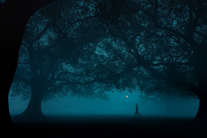 A moody, atmospheric photograph of a silhouetted figure walking alone under a large tree, with a glowing orange moon or light visible in the misty blue background.