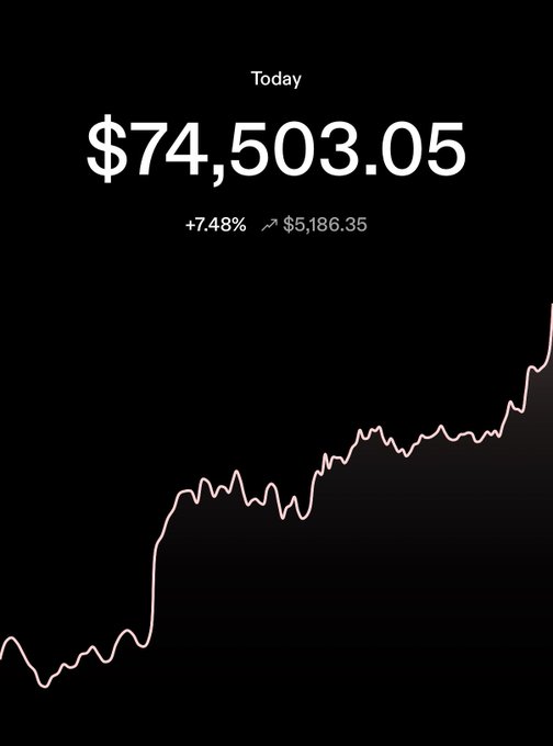 A dark-themed financial chart showing 'Today' value of $74,503.05, up 7.48% (+$5,186.35), with a pink line graph trending upward.