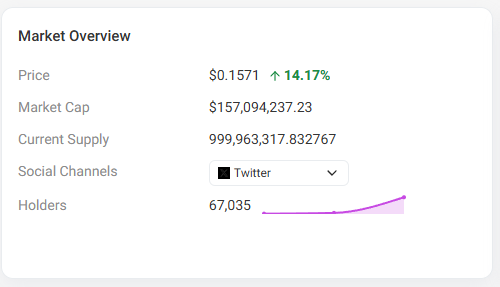 A Market Overview panel shows a token priced at $0.1571 (up 14.17%), with a market cap of $157,094,237.23, a current supply of 999,963,317.832767, 67,035 holders trending upward, and a Twitter social channel—aligning with the post's highlight of an airdrop allocation that outshines recent projects and the meme token's market buzz.