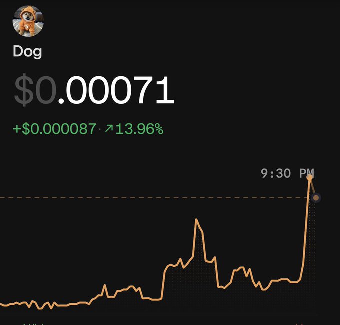A Robinhood-style stock/crypto chart showing the ticker "Dog" (with a Shiba Inu dog logo) priced at $0.00071, up $0.000087 or 13.96%, with an orange line graph showing a sharp upward spike at 9:30 PM.
