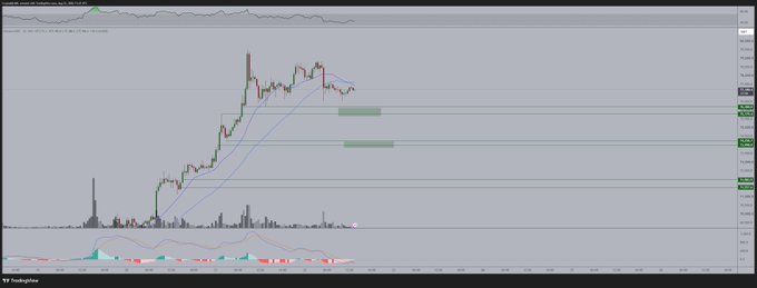 A TradingView Bitcoin (BTC/USD) chart displaying recent price action in the $75,000–$80,000 range with moving averages, volume bars, and an RSI indicator at the bottom, illustrating the trader's view of slowing Saturday momentum and a potential sweep of the lows before re-entering longs near $74,000–$76,000.