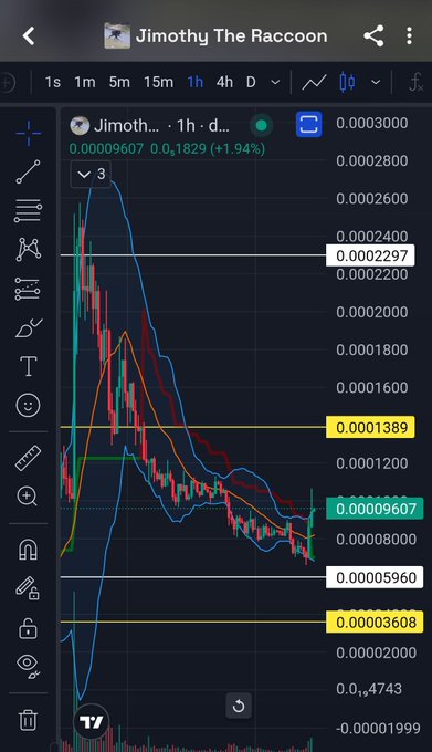 A cryptocurrency trading chart for 'Jimothy The Raccoon' token showing a 1-hour price decline, with the price dropping from around 0.0002297 to 0.00009607, indicating a significant loss.