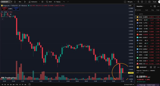 The image shows a computer screen displaying a stock chart of Dogecoin's value over time. The chart displays the cryptocurrency's price fluctuations throughout a particular period with a drop below 9 cents at some point during that time frame. The conversation about this topic was happening during a livestream, as evidenced by the caption provided.