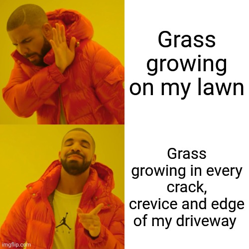 A Drake-format meme contrasting a dismissive 'Grass growing on my lawn' with an approving 'Grass growing in every crack, crevice and edge of my driveway'.