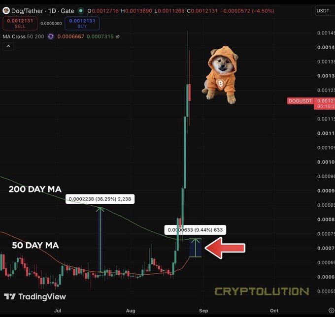 A TradingView chart for DOGUSDT (Dog/Tether) on a daily timeframe showing a dramatic price spike with annotations for the 200 Day MA and 50 Day MA, featuring a Shiba Inu dog wearing an orange hoodie.