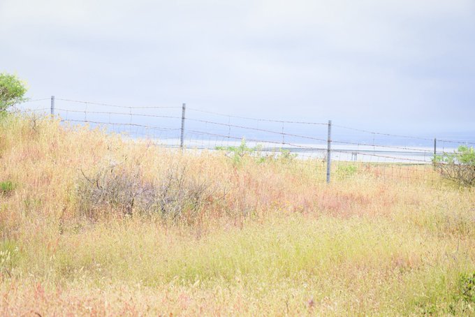 The image shows a field of tall grass with a fence running through it, creating an interesting contrast between the natural landscape and man-made structures. The sky above appears cloudy, adding depth to the scene. The photo has been captioned "Finding beauty in everyday life... The Quiet Calm Share yours Copyright Swati Chakraborty". This description emphasizes the peacefulness of the field and its connection with the viewer's emotions or experiences.