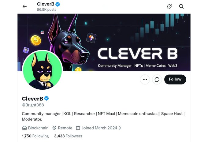 A Twitter/X profile for "CleverB" (@Bright388), a verified account with 3,433 followers, identifies the user as a "Community Manager | NFTs | Meme Coins | Web3" and "Community manager | KOL | Researcher | NFT Maxi | Meme coin enthusiast | Space Host | Moderator."