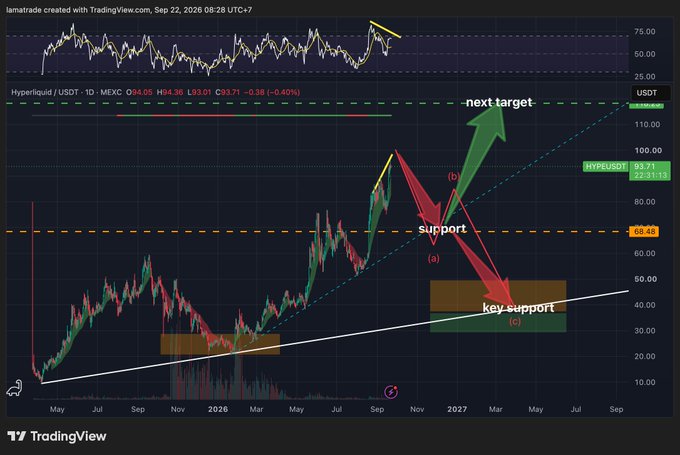 A TradingView candlestick chart of Hyperliquid (HYPE/USDT) on the 1D timeframe, showing a price of $93.71 (-0.40%), with technical annotations marking key support around $60.62, a "key support" zone near $35-45, and a bullish "next target" projected above $110. The chart visually maps out a potential pullback scenario into support before a continuation higher, aligning with the post's "$hype pullback to support??" thesis.