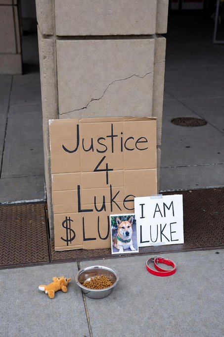 A cardboard sign reading "Justice 4 Luke $LUKE" alongside a smaller "I AM LUKE" sign featuring a photo of a dog, with a bowl of food and toys placed on the ground.