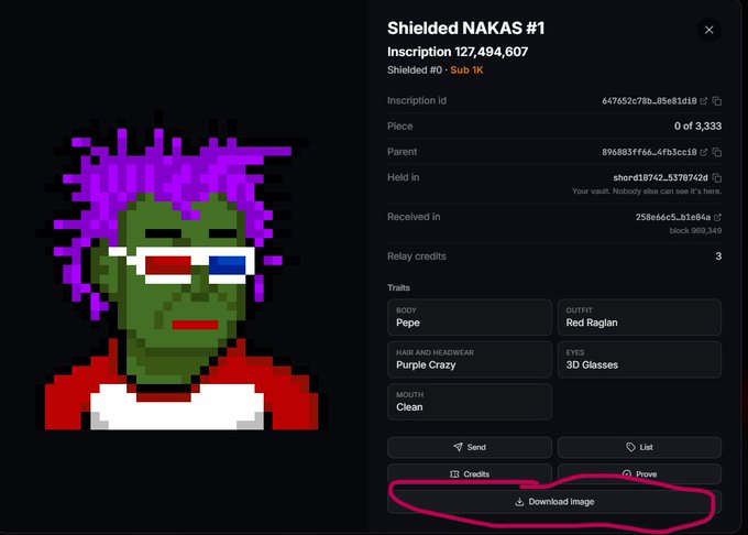 A screenshot displays an NFT page for 'Shielded NAKAS #1' with the 'Download image' button circled in pink; the pixel art shows a green-skinned character with purple hair and 3D glasses.