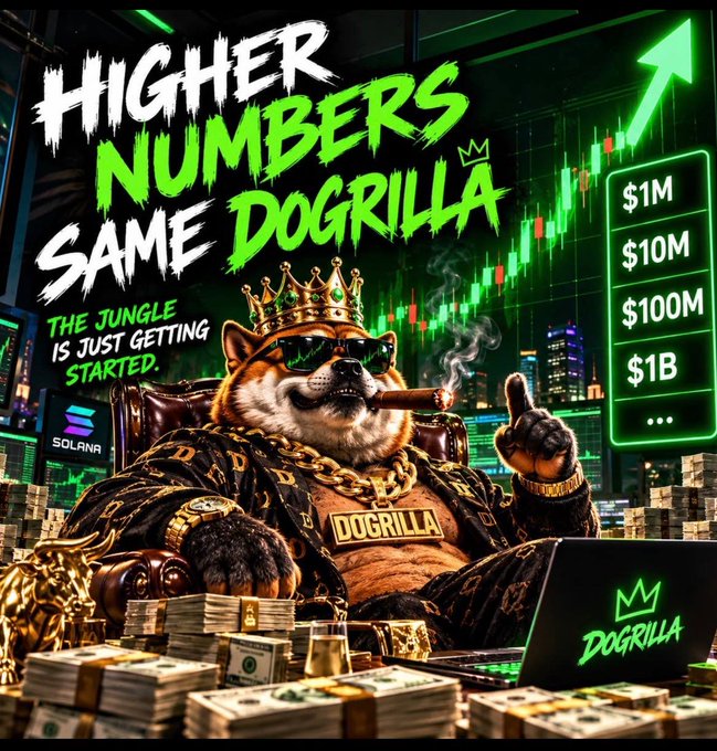 The image is a promotional graphic featuring "DOGRILLA," a Shiba Inu character wearing a crown, sunglasses, and gold chains, smoking a cigar while sitting amid stacks of cash with a laptop displaying the Dogrilla logo. The text reads "HIGHER NUMBERS SAME DOGRILLA," "THE JUNGLE IS JUST GETTING STARTED," and shows a progression of $1M, $10M, $100M, $1B alongside a rising Solana stock chart, visually reinforcing the post's message about massive potential gains from early investment in $DOGRILLA on Solana.