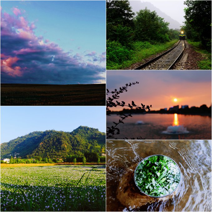 A collage of four nature and landscape photographs featuring a pink-clouded sky over a field, a train on tracks through green mountains, a sunset over water with birds on a branch, a mountain rising behind a grassy meadow, and a small dish of green leaves floating in water.