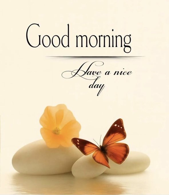 The image features a butterfly resting on some rocks with an orange flower nearby. The caption reads "Good morning" above the butterfly and "Have a nice day" below it, suggesting that the butterfly represents good mornings or new beginnings. The text also mentions the importance of digital security in today's world, which could be related to the butterfly symbolizing the start of a new day where we must ensure our online safety and protect our digital assets from potential threats.
