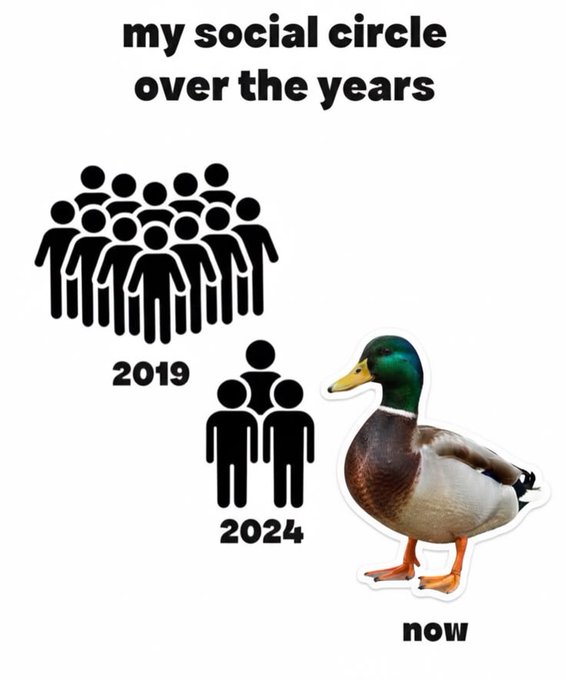 A humorous meme titled "my social circle over the years" showing a large group of stick figures in 2019, three figures in 2024, and just a duck labeled "now."