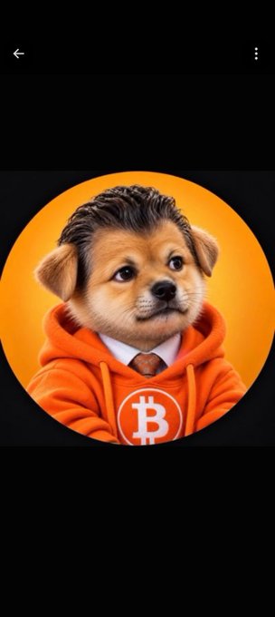 An AI-generated profile picture shows a puppy in an orange Bitcoin-themed hoodie against an orange circular background.
