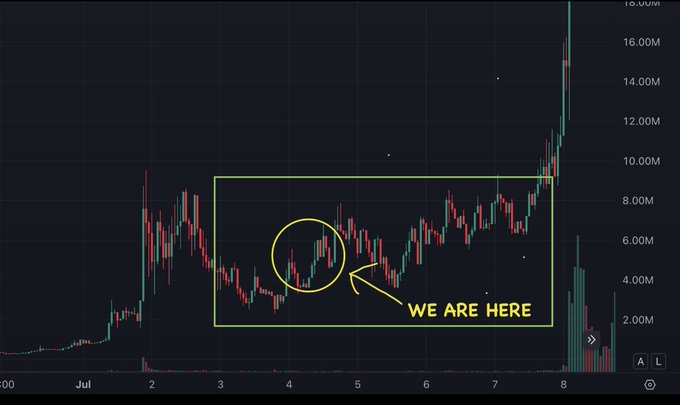 A candlestick chart shows $CASHCAT's price action over 5+ days, trading between roughly $2M and $9M market cap before a sharp vertical spike toward $16M on day 8, with a yellow box highlighting the sideways consolidation and a circled area labeled "WE ARE HERE" pointing to the breakout zone before the explosive rally.