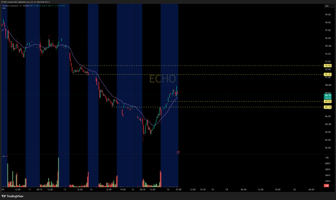 A TradingView stock chart shows price action with the watermark 'ECHO' displayed across the middle, with timestamps along the x-axis and price levels on the right.