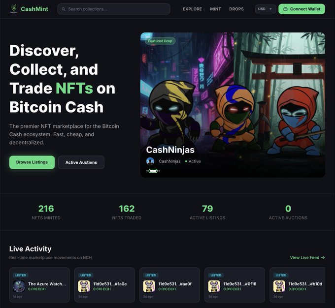 The image shows a website called Cashmint that displays a collection of NFTs for sale. The website has a clean black background with white text, making it easy to read and navigate. There are several posts available for viewing, each accompanied by a description or image related to the NFTs being sold. The post about discovering, collecting, and trading NFTs on Bitcoin Cash is prominently featured in the center of the website.