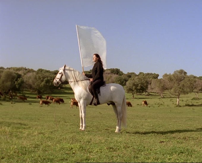 A person dressed in black sits atop a white horse in a green pasture, holding a large white flag or banner aloft, with cows grazing and trees in the background.