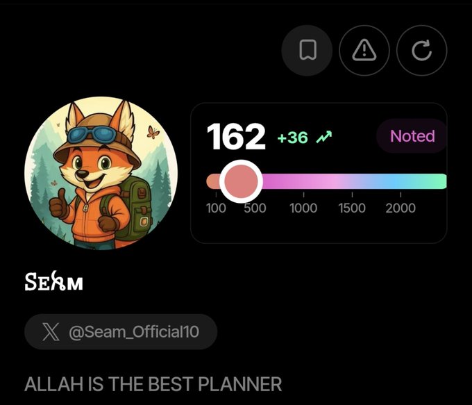 A social media profile card for @Seam_Official10 featuring a cartoon fox hiker, a level progress bar showing 162, and the text 'ALLAH IS THE BEST PLANNER' at the bottom.