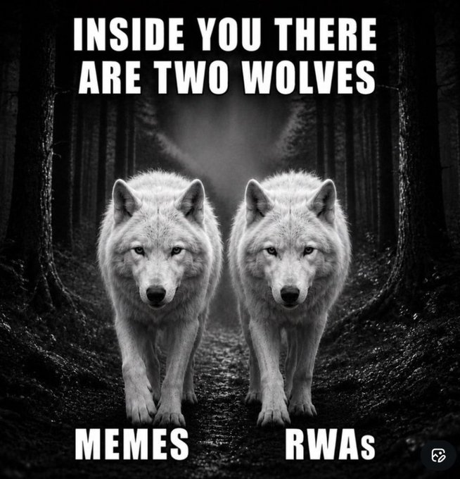 A black-and-white meme showing two wolves walking down a dark path with text reading 'Inside you there are two wolves' labeled 'MEMES' and 'RWAS.'