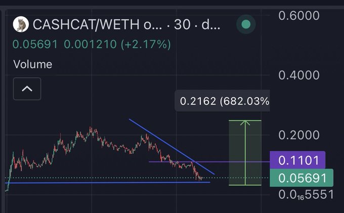A price chart for CASHCAT/WETH showing a current value of 0.05691 with a 682.03% potential upside target at 0.2162, indicating the poster's bullish conviction that the bottom has formed and significant gains are anticipated from the current entry point.