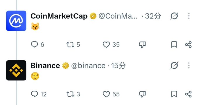 Screenshots of two social media posts from 'CoinMarketCap' (with a cat emoji) and 'Binance' (with a smiling emoji), showing engagement metrics like replies, retweets, and likes.