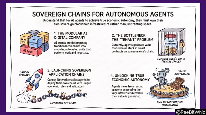 An infographic titled 'SOVEREIGN CHAINS FOR AUTONOMOUS AGENTS' explaining the four steps for AI agents to achieve economic autonomy via Canopy Network, credited to @RaeBitWhiz.