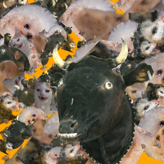 Surreal collage-style image featuring a startled black bull's head in the center surrounded by chaotic pixelated and distorted animal faces against an orange background.