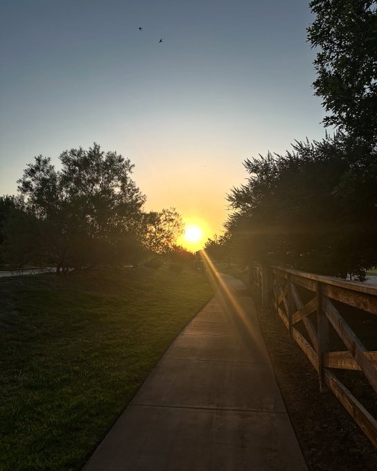 A sunset is seen at the end of a paved walking path bordered by a wooden fence and trees, with birds flying in the sky.