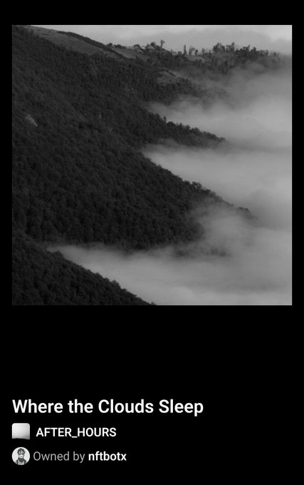 A black-and-white photograph depicts a forested mountain slope enveloped in low-hanging clouds, captioned "Where the Clouds Sleep" and tagged as owned by nftboxx.