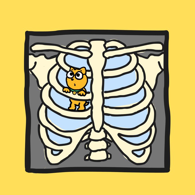 A cartoon illustration of a skeleton ribcage with a small orange cat peering out from inside the chest cavity against a yellow background.
