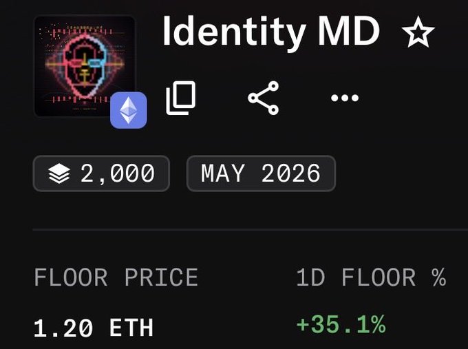 A screenshot of an NFT project page titled "Identity MD" showing a floor price of 1.20 ETH, with a 1D floor percentage increase of +35.1%.